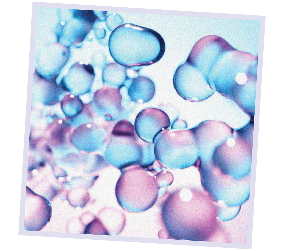 Bubbles 
